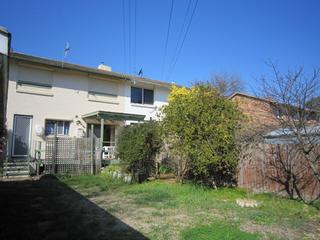 Backyard (2010-09-22)