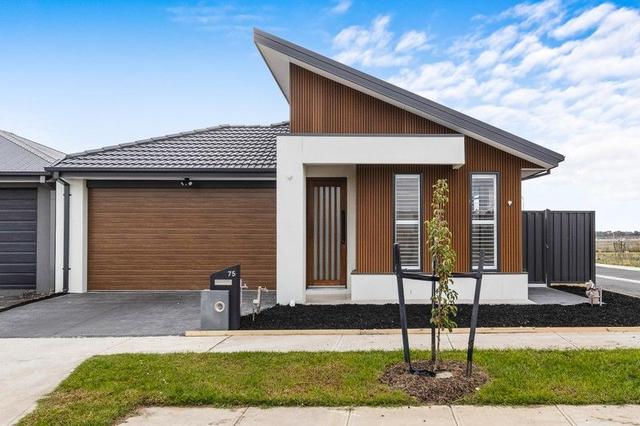 75 Carrera Crescent, VIC 3978