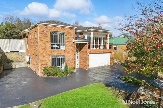 17 Little Chipping Drive, VIC 3116