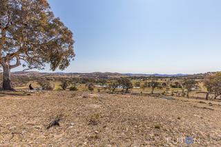 Views to Canberra