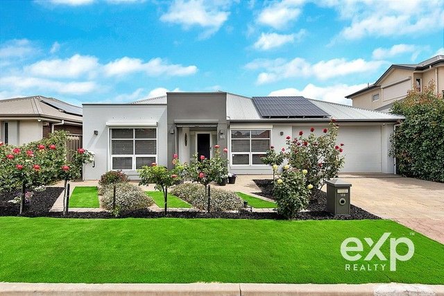 169 Folland Avenue, SA 5085