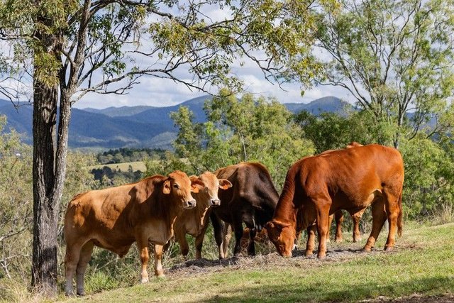(no street name provided), QLD 4521