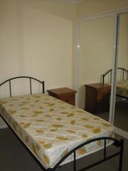 Bed 3 (2009-02-02)