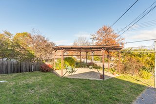 Back yard