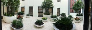 Complex Gardens (2015-11-23)