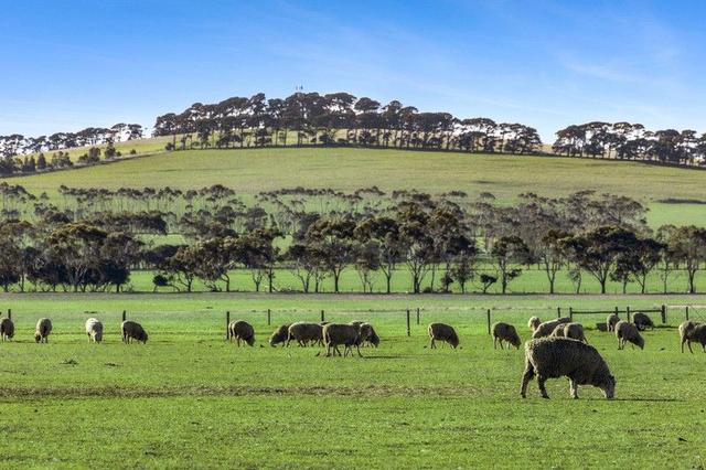 2125 Barrabool Road, VIC 3240