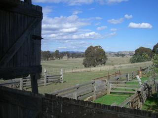 View Sheep Yards