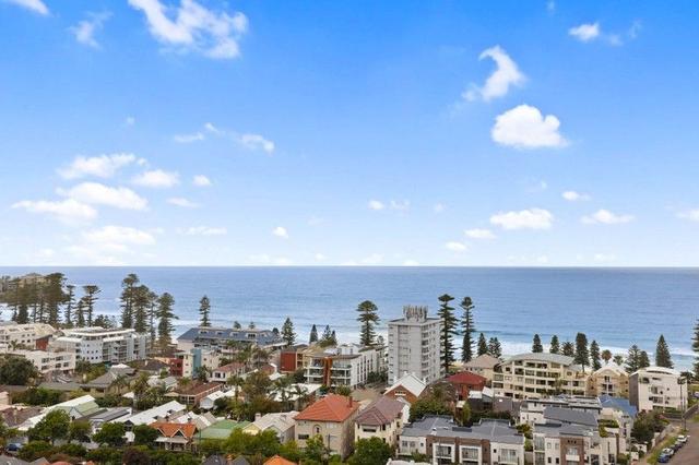 41 Kangaroo Street, NSW 2095