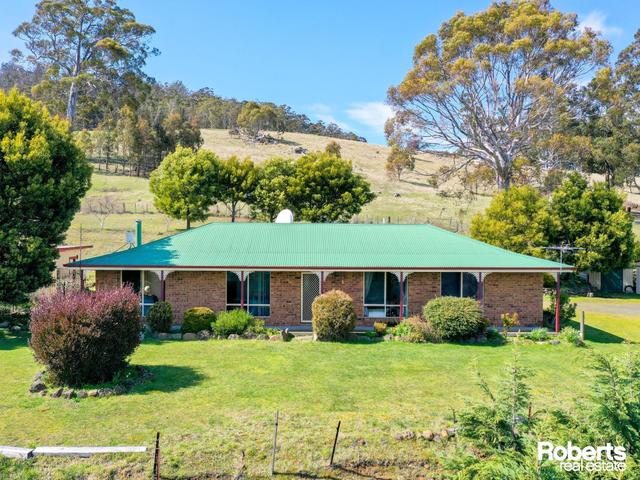 20 Garth Lane, TAS 7140