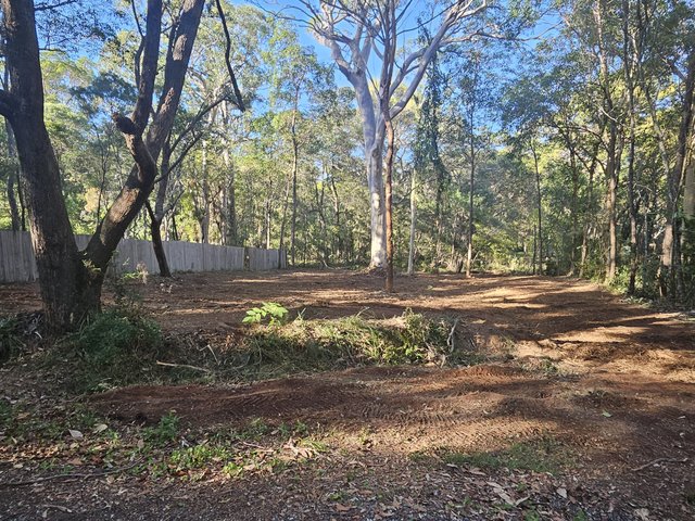 44 Burke Avenue, QLD 4184