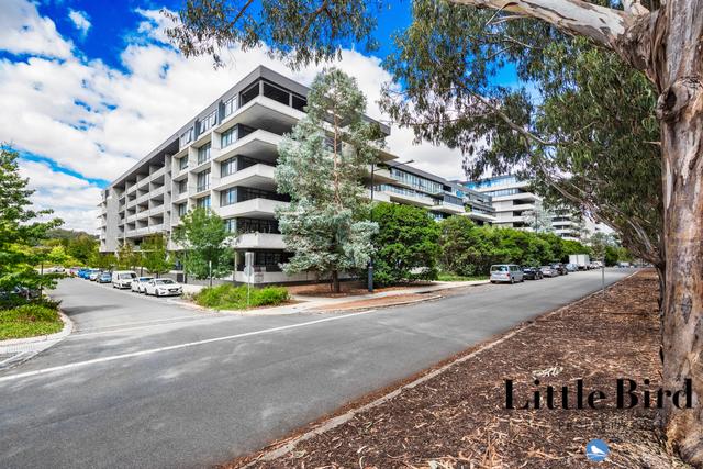 533/26 Anzac Park, ACT 2612
