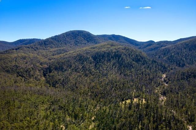 295 Rocky Hall Firetrail, NSW 2550