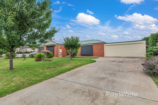 13 Harris Court, NSW 2731