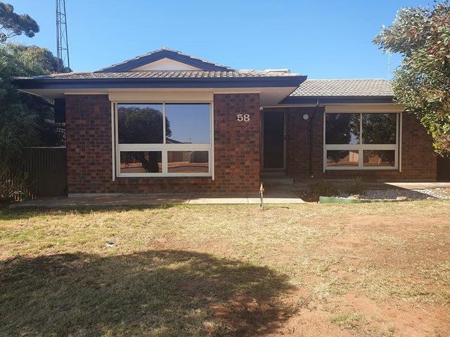 58 Newton Street, SA 5600