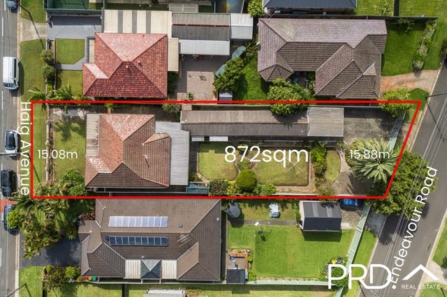45 Haig Avenue, NSW 2198