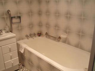 Bathroom (2007-04-16)