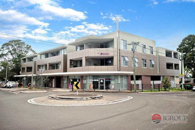 Unit 226/203 Birdwood Rd, NSW 2198