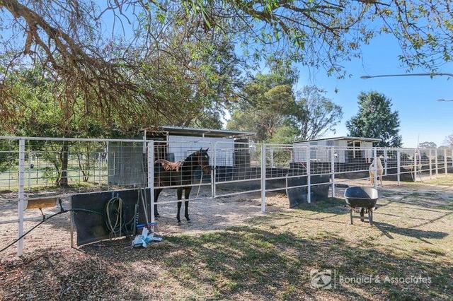 117 Buckingham Road, VIC 3682