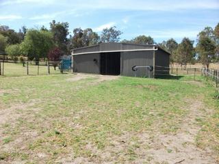 Shed (2013-07-06)