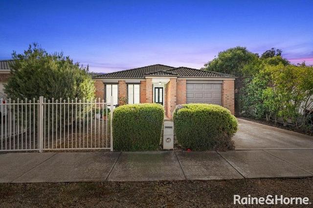 19 Dreelburn Terrace, VIC 3338