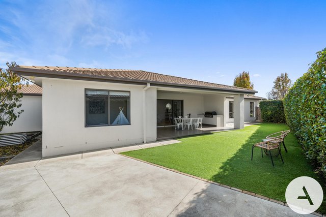 17 Olga Masters St, ACT 2913