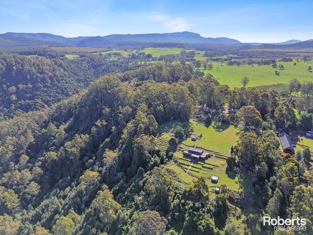 675 Cradle Mountain Road, TAS 7310