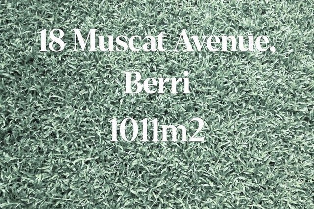 18 Muscat Avenue, SA 5343