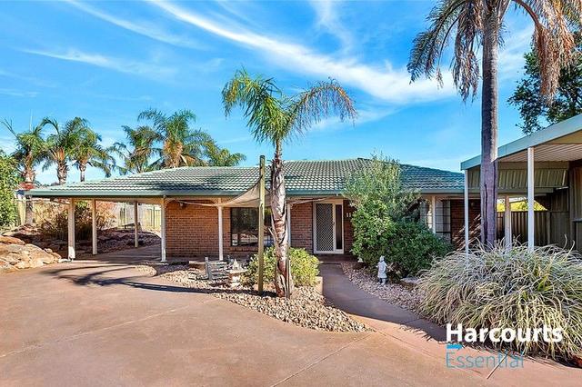 11 Sherwood Place, SA 5114
