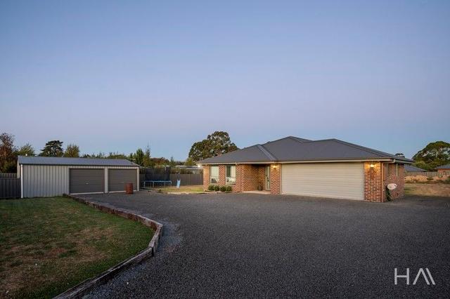 17 William Street, TAS 7303