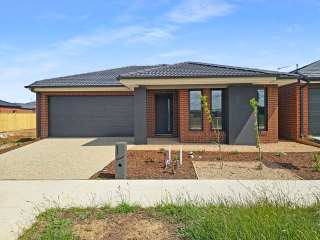 43 Petunia Crescent, VIC 3217