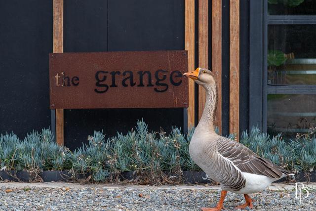 226 Bawley Point Road, NSW 2539