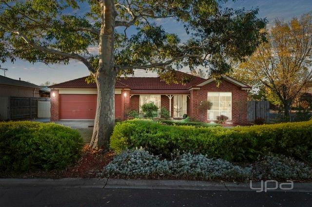 19 Glenbrook Gardens, VIC 3338