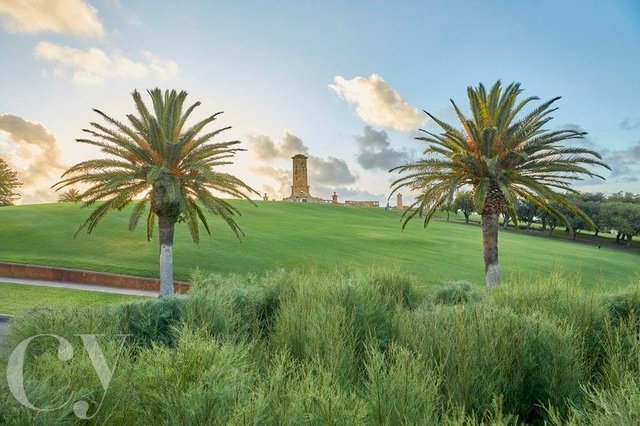 16 Swanbourne Street, WA 6160