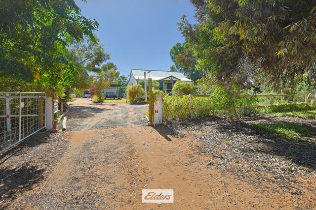 9-11 Tarcoola Street, NSW 2648