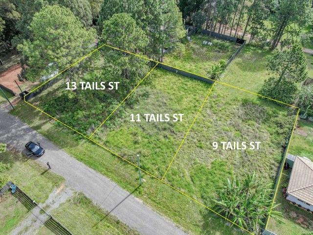 9 Tails Street, QLD 4184