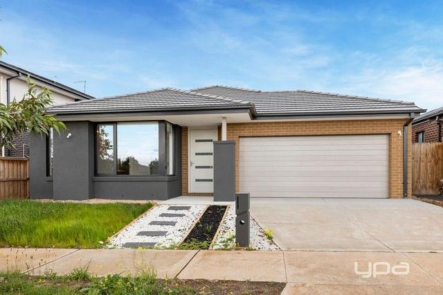 13 Dandelion Crescent, VIC 3335