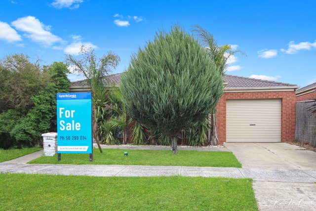 17 Driftwood St Street, VIC 3816