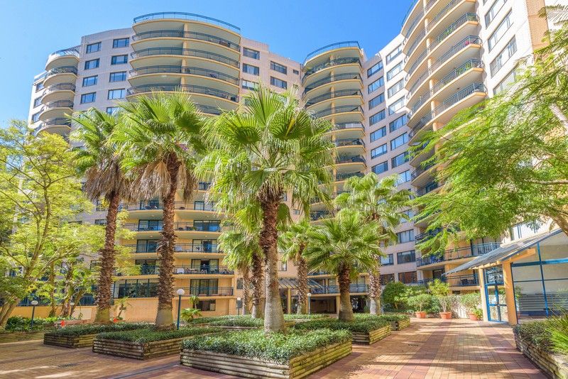 4/122 Saunders Street, Pyrmont NSW 2009 Apartment for Sale Allhomes