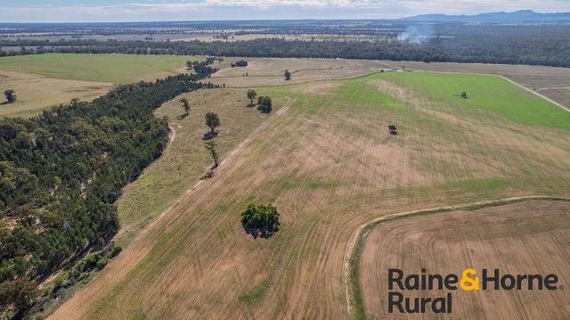 1186 Newell Highway, NSW 2827