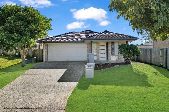 19 Flora Terrace, QLD 4209