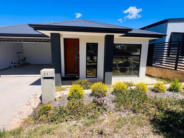 31 Pagliano Street, ACT 2615