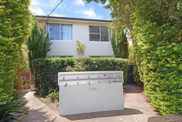4/244 Maroubra Road, NSW 2035