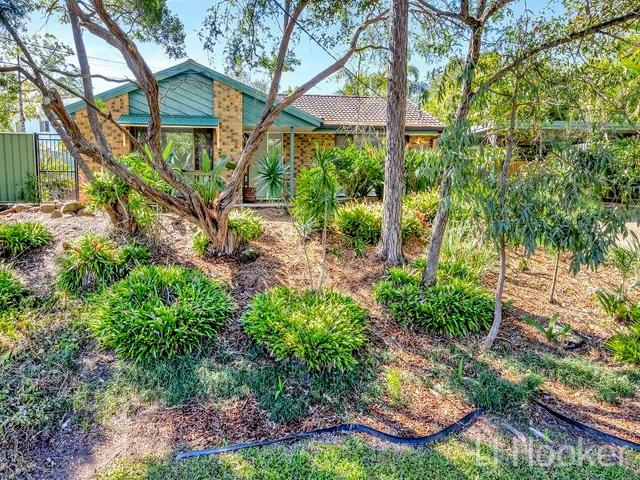 19 Floret Street, QLD 4128
