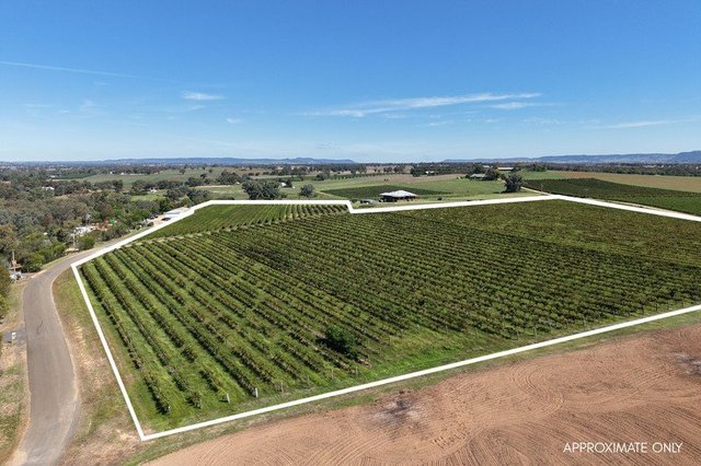 Lot 10 Chardonnay  Lane, NSW 2794
