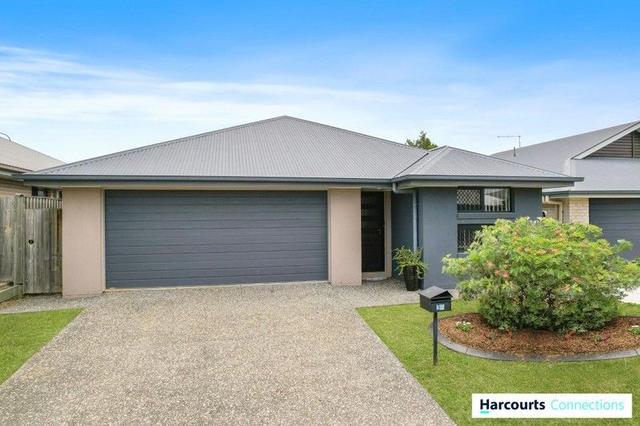 31 Begonia Court, QLD 4510