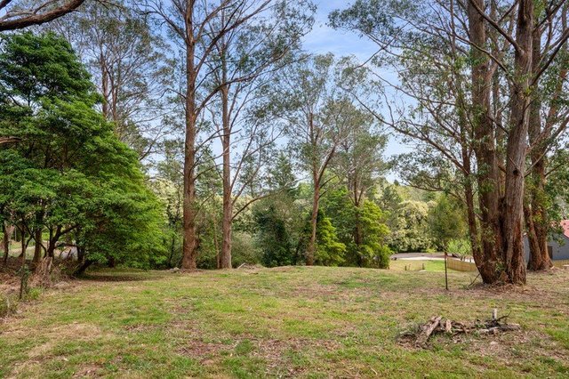 4 William Street, NSW 2576