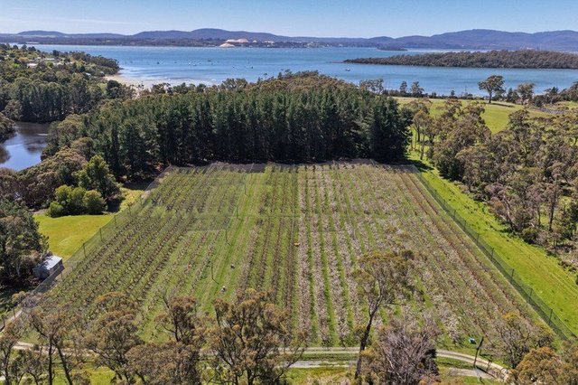 4378 West Tamar Highway, TAS 7270