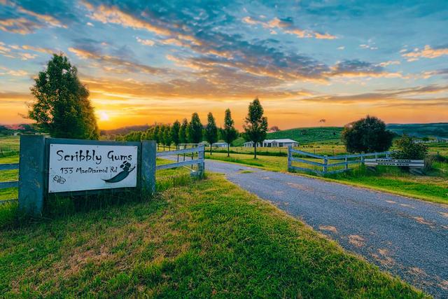 133 MacDiarmid Road, NSW 2620