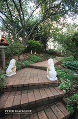 Rear Garden (2010-03-24)