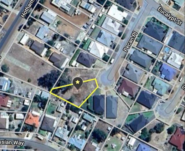 16 Pecan Place, WA 6390